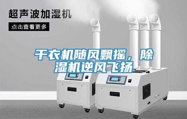 干衣机随风飘摇，辣椒视频APP下载并安装逆风飞扬