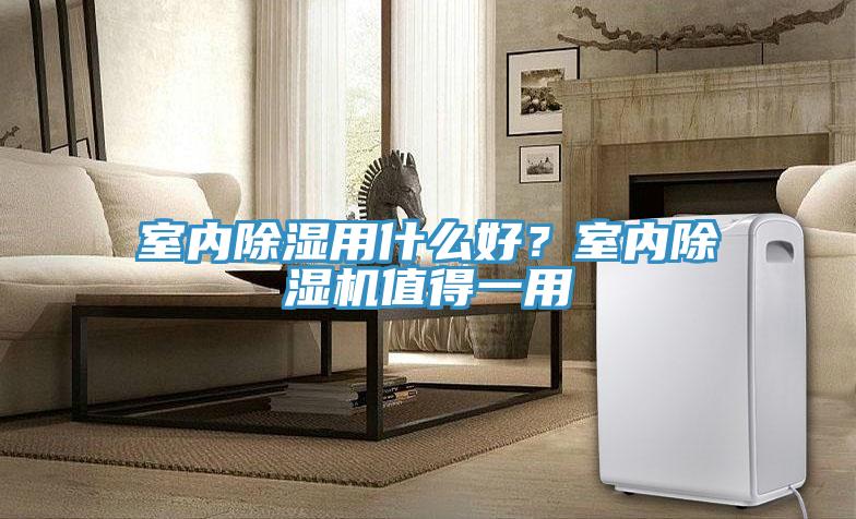 室内除湿用什么好？室内辣椒视频APP下载并安装值得一用