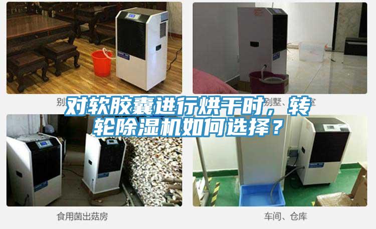 对软胶囊进行烘干时，转轮辣椒视频APP下载并安装如何选择？