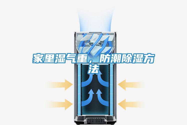 家里湿气重，防潮除湿方法