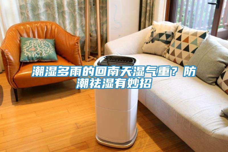 潮湿多雨的回南天湿气重？防潮祛湿有妙招