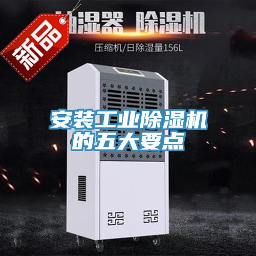 安装工业辣椒视频APP下载并安装的五大要点