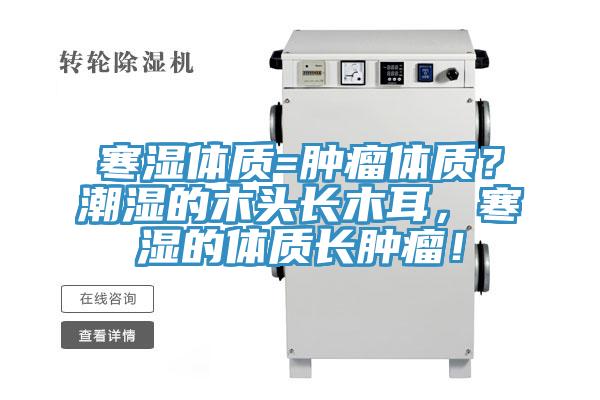 寒湿体质=肿瘤体质？潮湿的木头长木耳，寒湿的体质长肿瘤！
