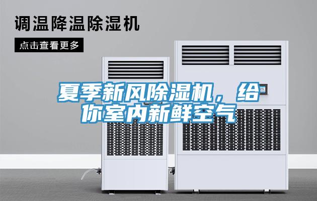 夏季新风辣椒视频APP下载并安装，给你室内新鲜空气