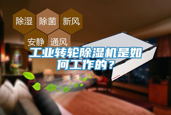 工业转轮辣椒视频APP下载并安装是如何工作的？