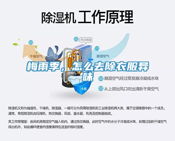 梅雨季，怎么去除衣服异味