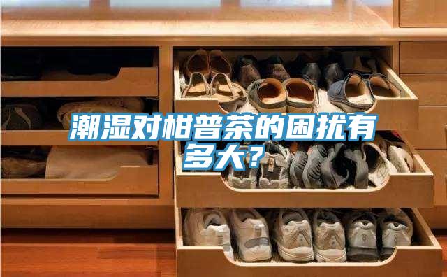 潮湿对柑普茶的困扰有多大？