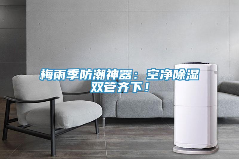 梅雨季防潮神器：空净除湿双管齐下！