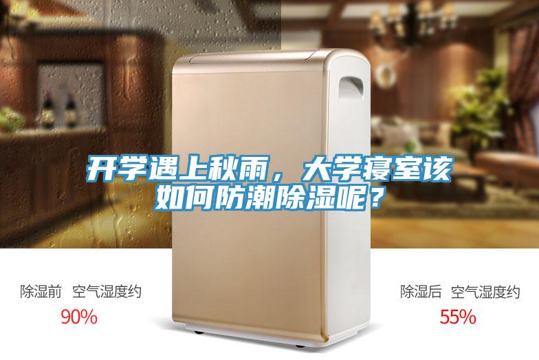 开学遇上秋雨，大学寝室该如何防潮除湿呢？