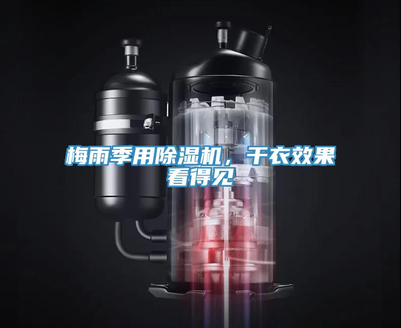 梅雨季用辣椒视频APP下载并安装，干衣效果看得见