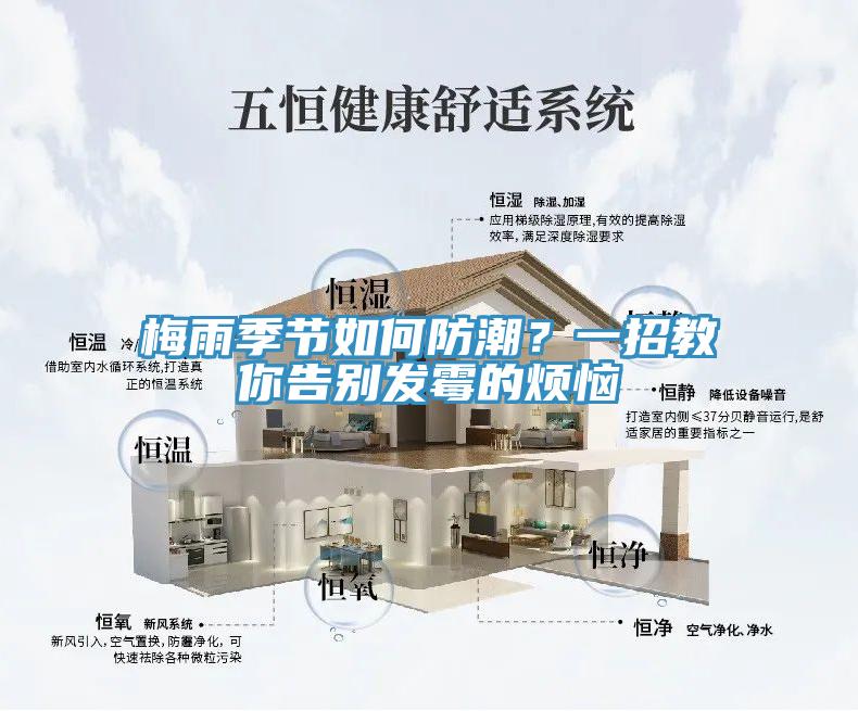 梅雨季节如何防潮？一招教你告别发霉的烦恼