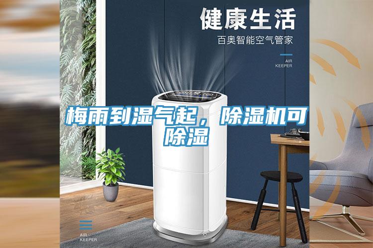 梅雨到湿气起，辣椒视频APP下载并安装可除湿