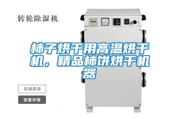 柿子烘干用高温烘干机，精品柿饼烘干机器