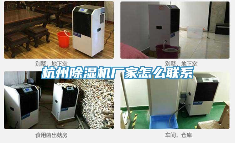 杭州辣椒视频APP下载并安装厂家怎么联系