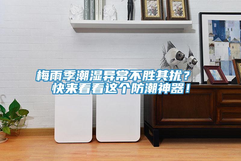梅雨季潮湿异常不胜其扰？ 快来看看这个防潮神器！