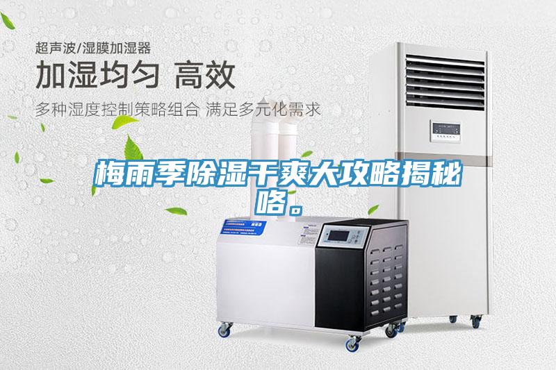 梅雨季除湿干爽大攻略揭秘咯。