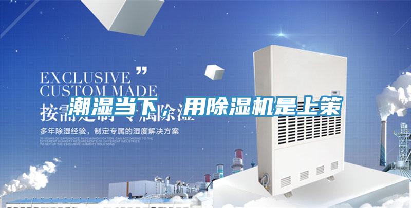 潮湿当下，用辣椒视频APP下载并安装是上策