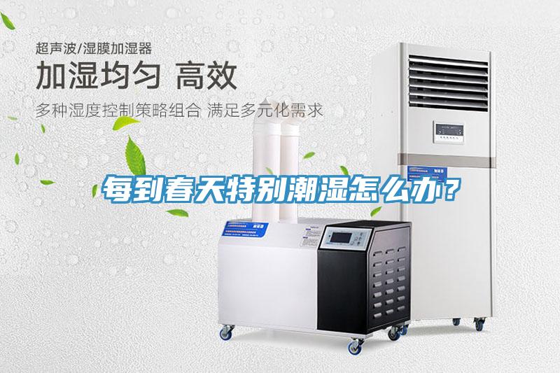 每到春天特别潮湿怎么办？