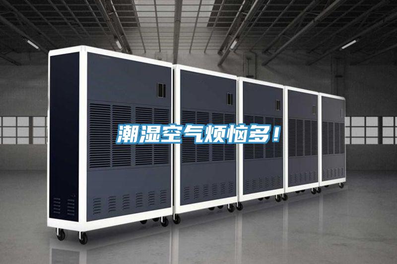 潮湿空气烦恼多！