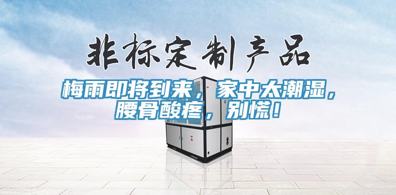 梅雨即将到来，家中太潮湿，腰骨酸疼，别慌！