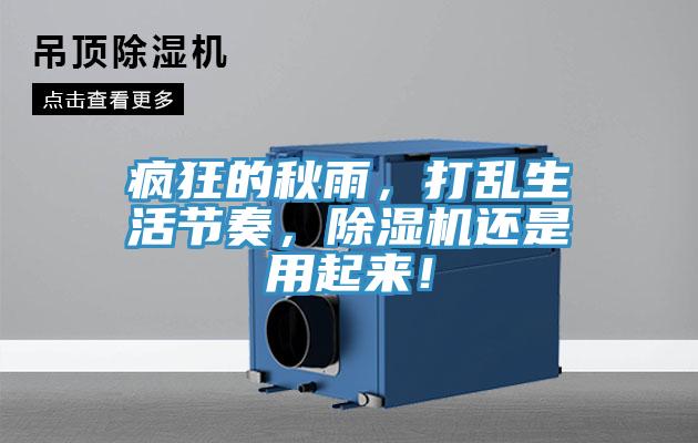 疯狂的秋雨，打乱生活节奏，辣椒视频APP下载并安装还是用起来！