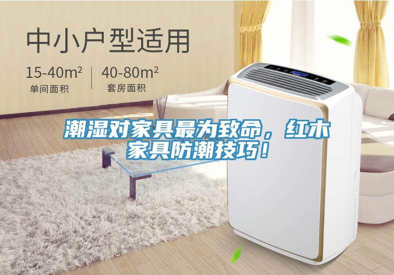 潮湿对家具最为致命，红木家具防潮技巧！