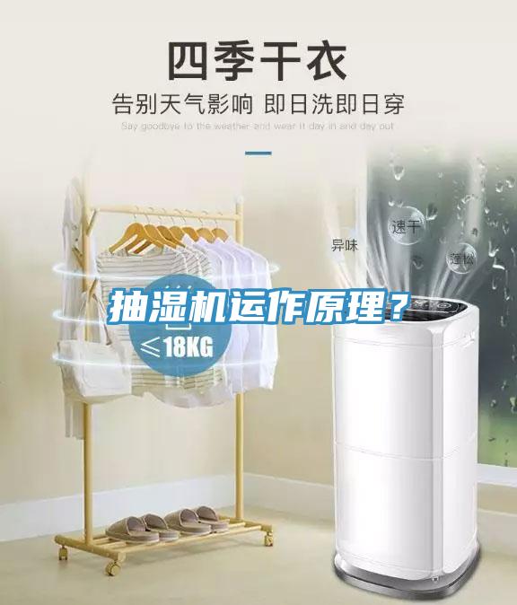 抽湿机运作原理？
