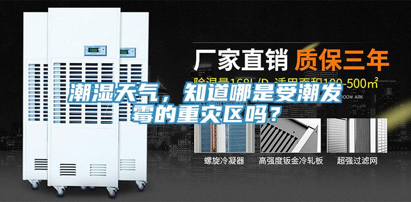 潮湿天气，知道哪是受潮发霉的重灾区吗？