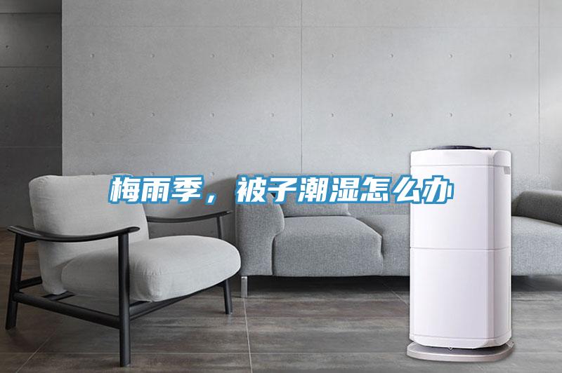 梅雨季，被子潮湿怎么办
