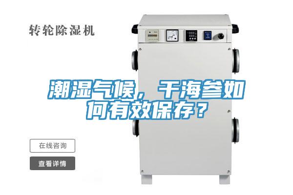 潮湿气候，干海参如何有效保存？