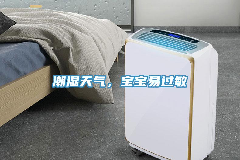 潮湿天气，宝宝易过敏
