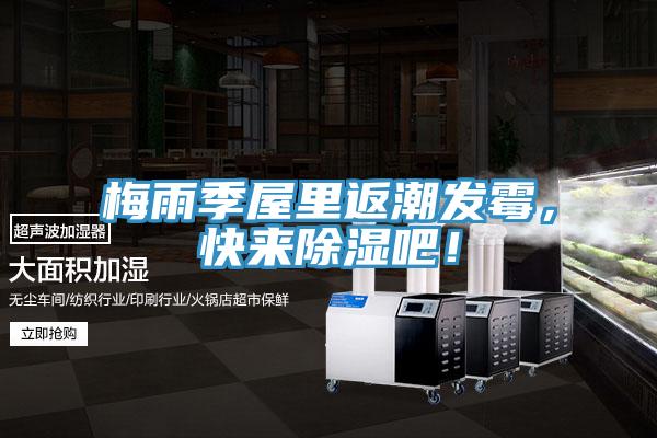 梅雨季屋里返潮发霉，快来除湿吧！