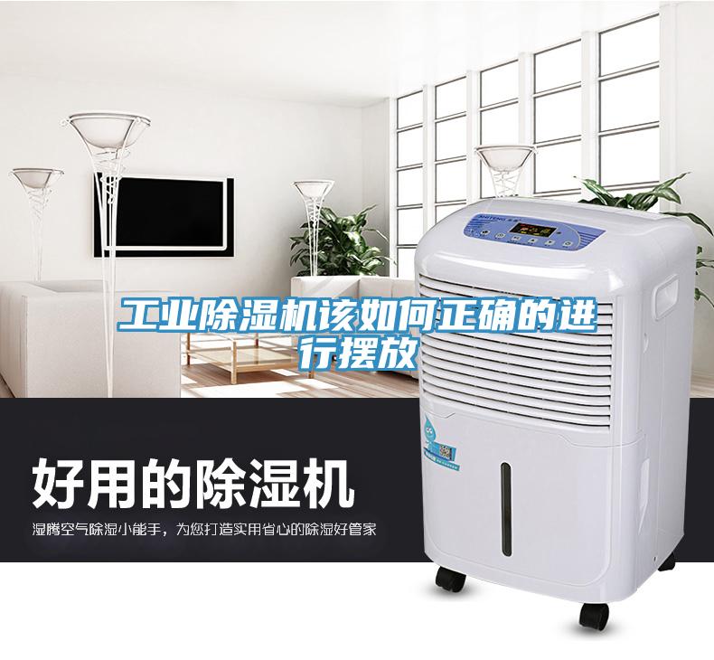 工业辣椒视频APP下载并安装该如何正确的进行摆放