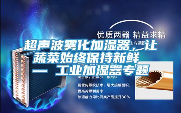 超声波雾化加湿器，让蔬菜始终保持新鲜 — 工业加湿器专题
