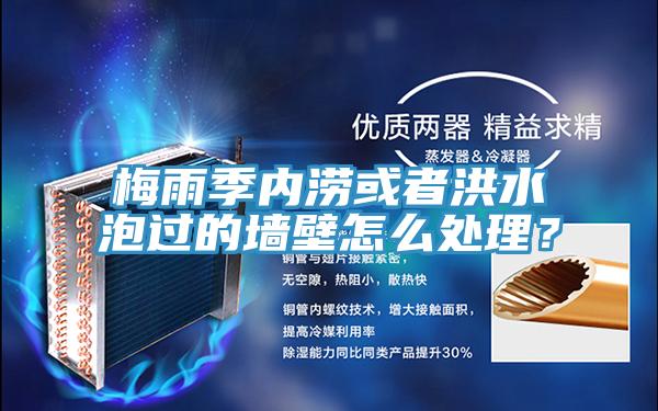 梅雨季内涝或者洪水泡过的墙壁怎么处理？