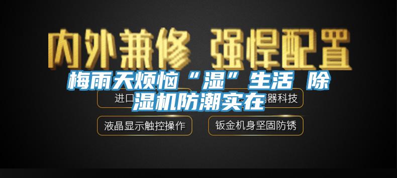 梅雨天烦恼“湿”生活 辣椒视频APP下载并安装防潮实在
