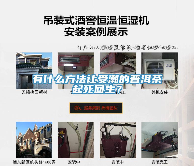 有什么方法让受潮的普洱茶起死回生？