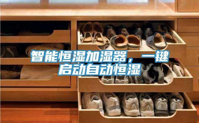 智能恒湿加湿器，一键启动自动恒湿