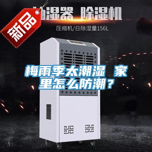 梅雨季太潮湿 家里怎么防潮？