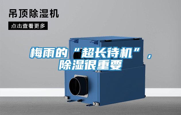 梅雨的“超长待机”，除湿很重要
