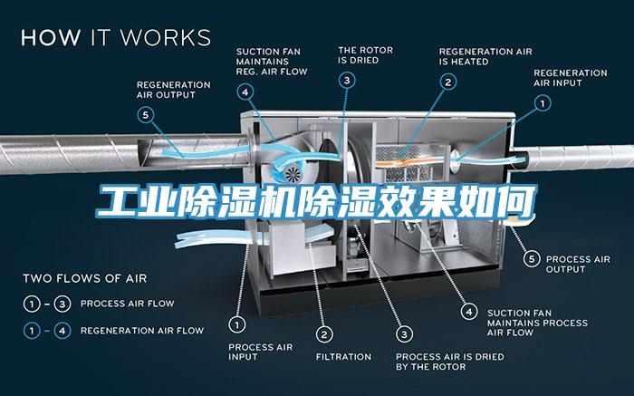 工业辣椒视频APP下载并安装除湿效果如何