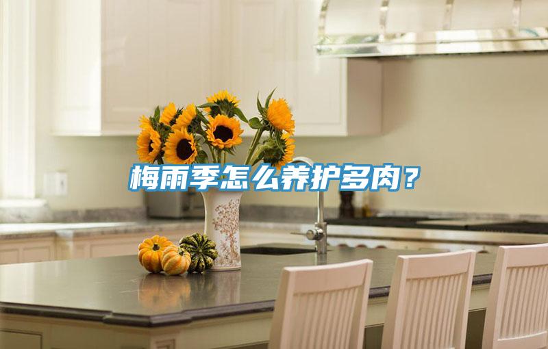 梅雨季怎么养护多肉？