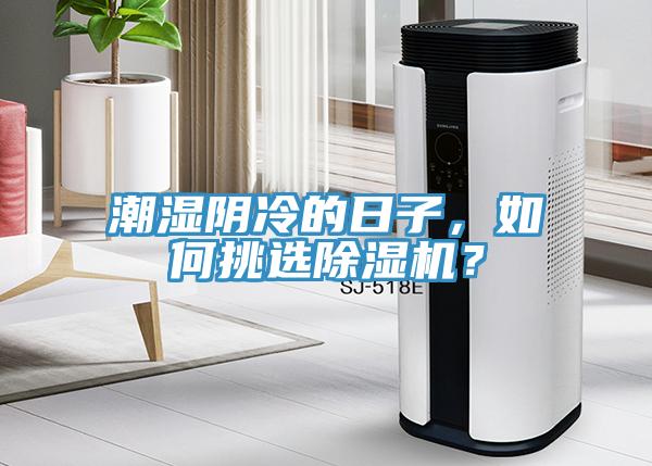 潮湿阴冷的日子，如何挑选辣椒视频APP下载并安装？