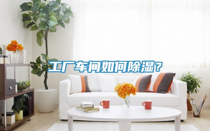 工厂车间如何除湿？