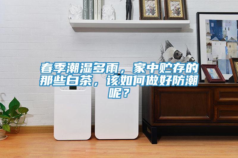 春季潮湿多雨，家中贮存的那些白茶，该如何做好防潮呢？