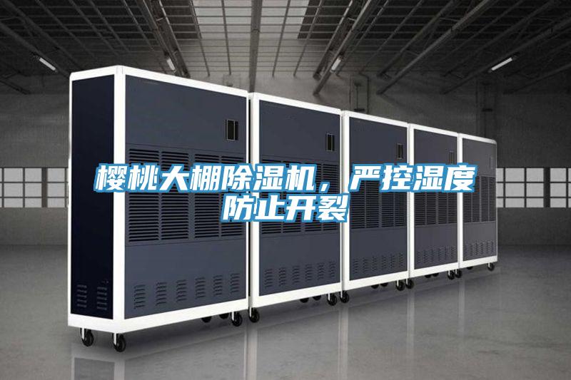 樱桃大棚辣椒视频APP下载并安装，严控湿度防止开裂