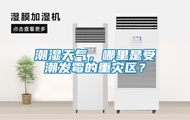 潮湿天气，哪里是受潮发霉的重灾区？