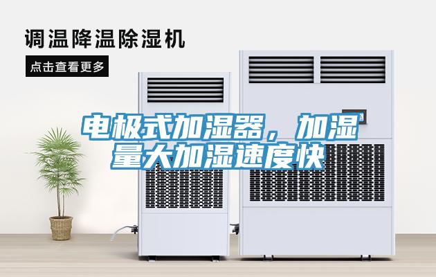 电极式加湿器，加湿量大加湿速度快