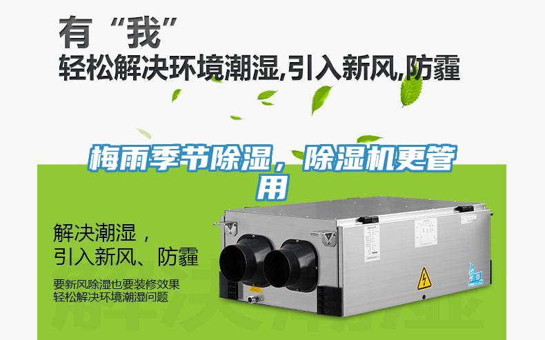 梅雨季节除湿，辣椒视频APP下载并安装更管用