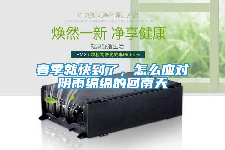 春季就快到了，怎么应对阴雨绵绵的回南天